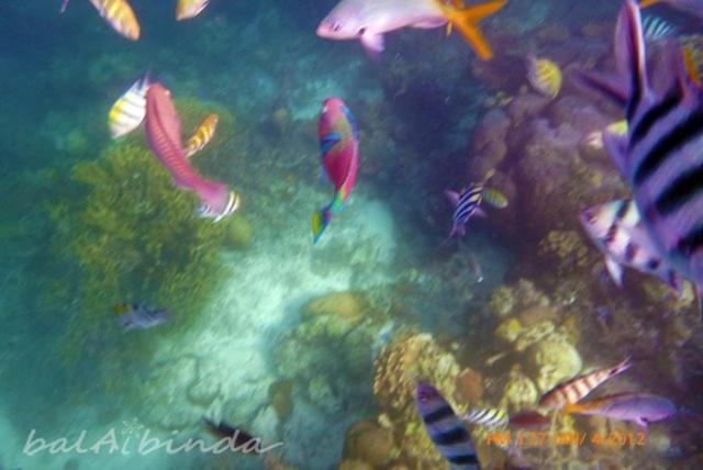 Balaibinda Lodge Coron Exteriér fotografie